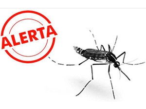 zika alerta