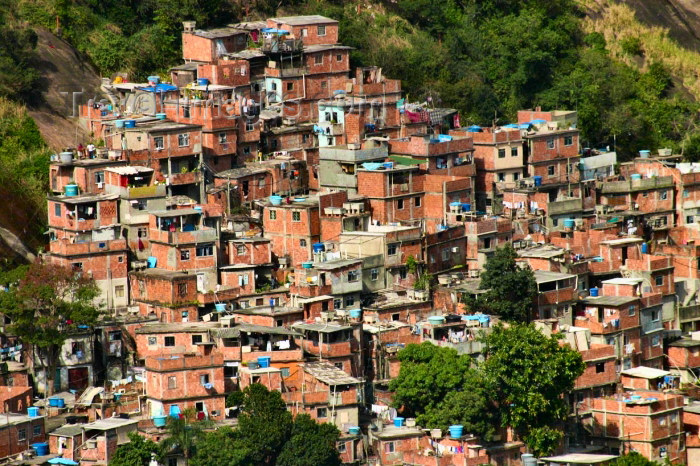 Os novos favelados: Ph.D’s na favela