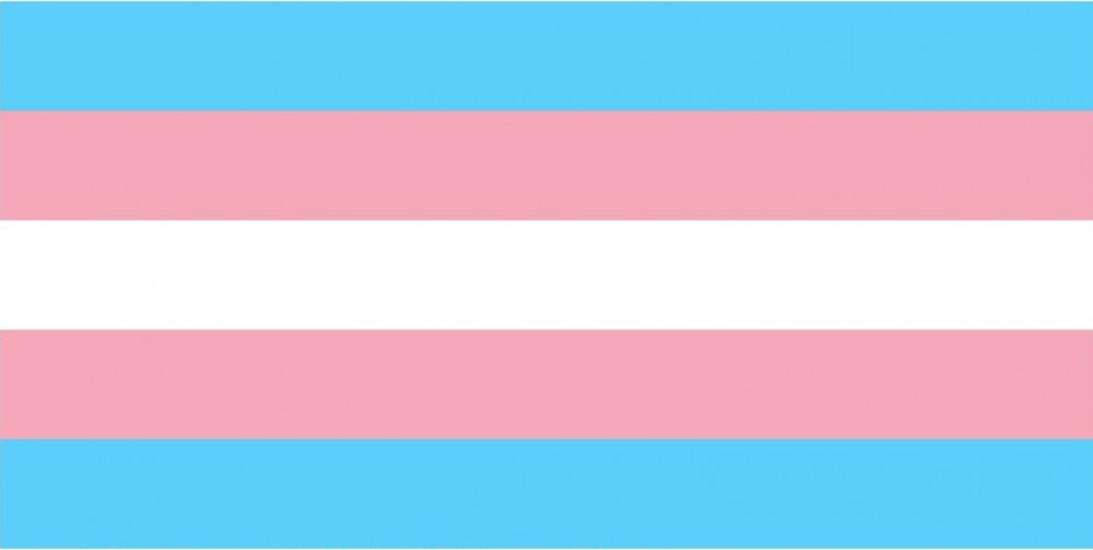 Site agrega serviços oferecidos por pessoas trans e travestis
