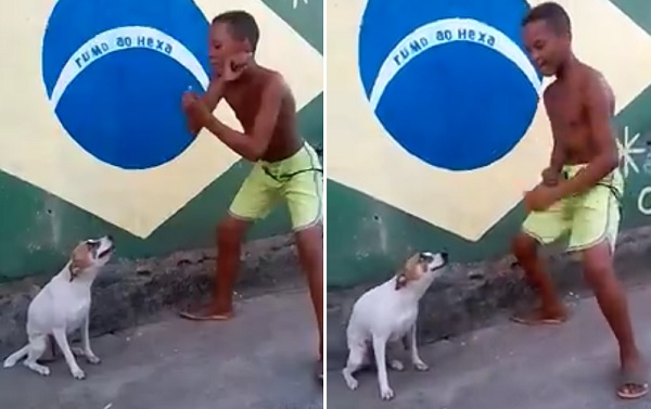 10 coisas que a favela tem (em gifs)