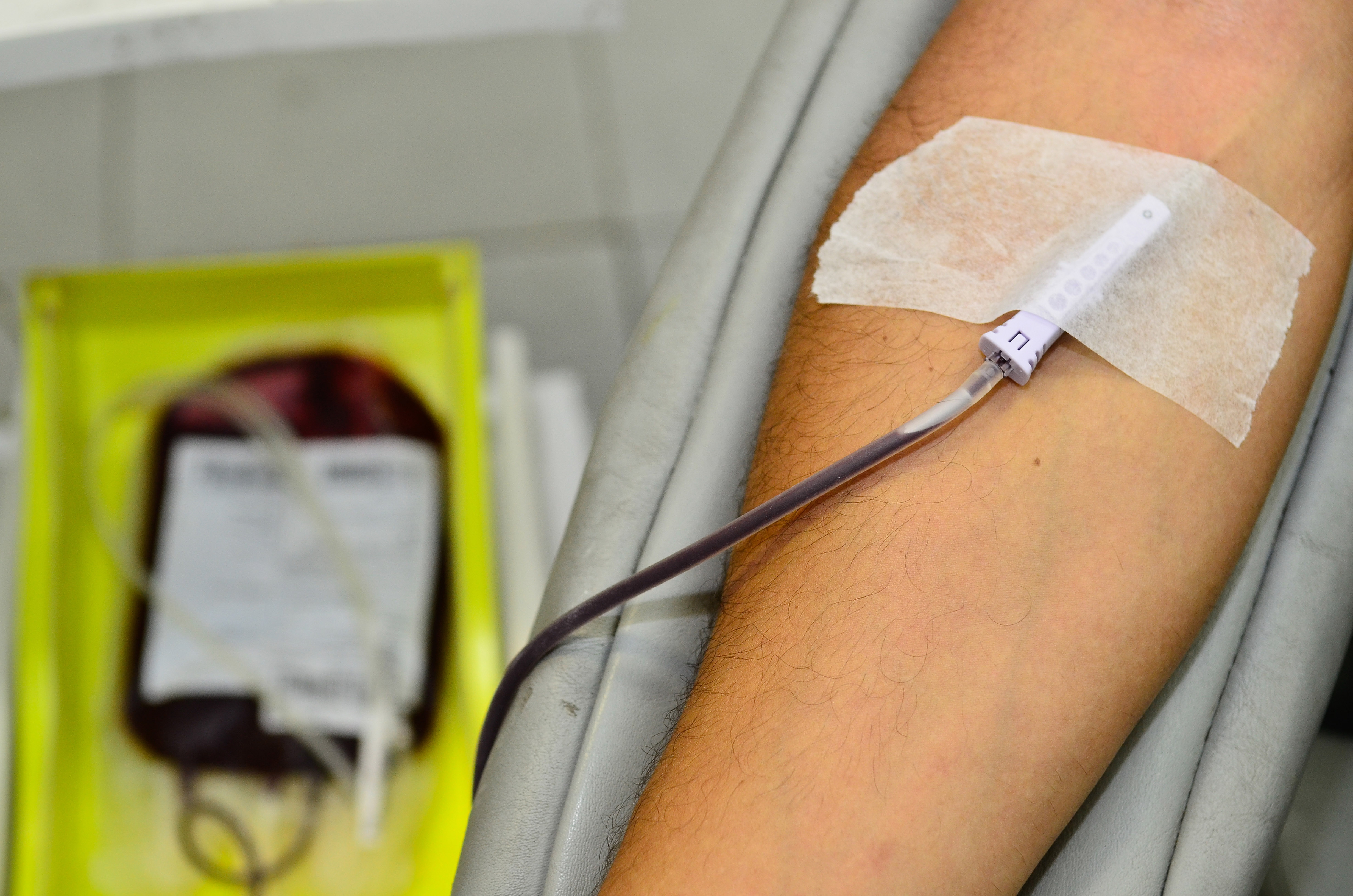Doação de Sangue: seja solidário e ajude a salvar vidas