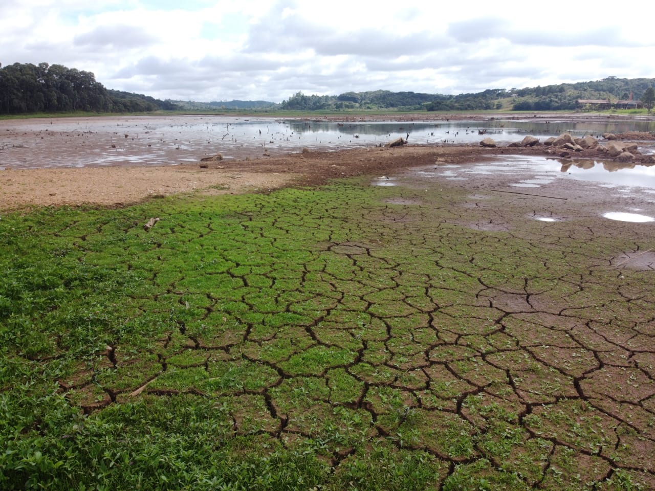 Desmatamento agrava crise hídrica no país