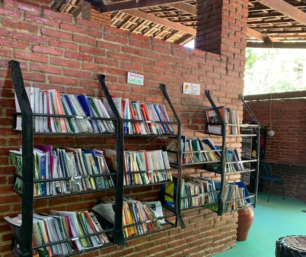 Livros Livres: projeto recebe e doa livros no Parque Municipal de Maceió