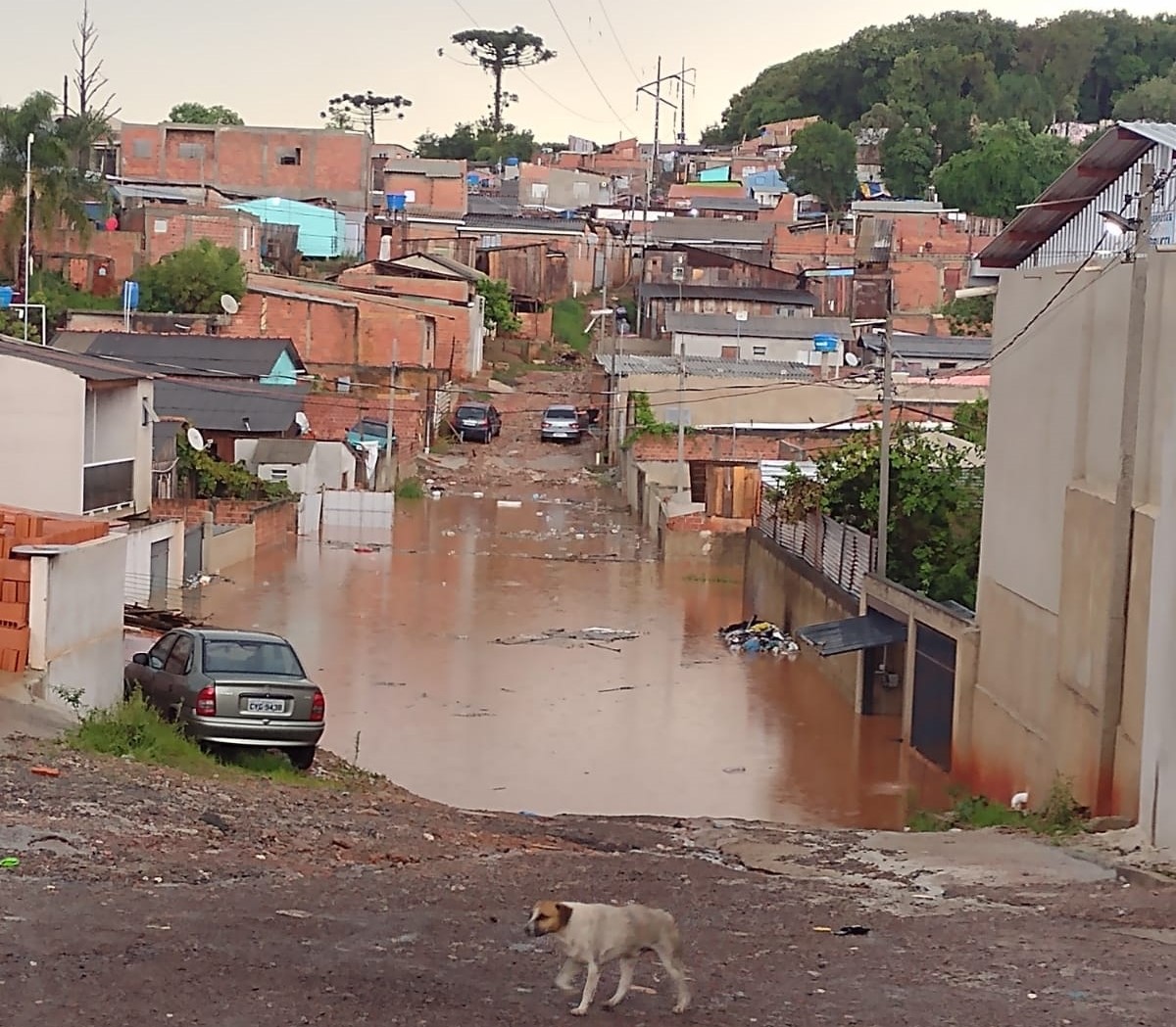 Alagamentos em Curitiba atingem 11 bairros e cidades vizinhas