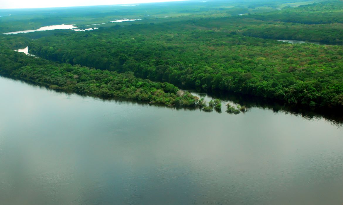 Inpe registra queda de 61% no desmatamento na Amazônia Legal, em janeiro