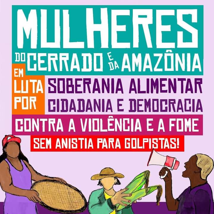 Mulheres do Cerrado e da Amazônia promovem encontro em Palmas