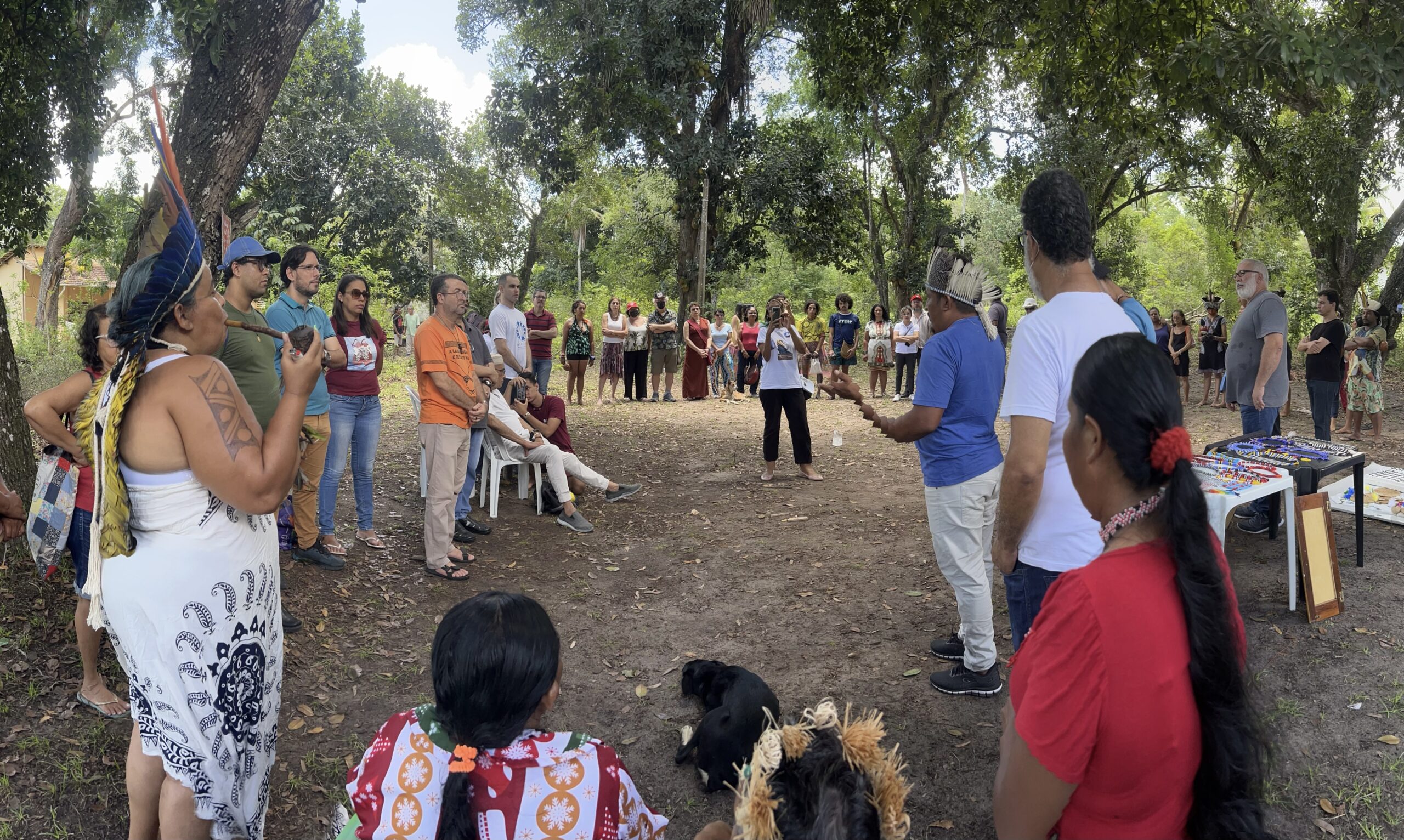 Povos indígenas retomam território ancestral em Pernambuco