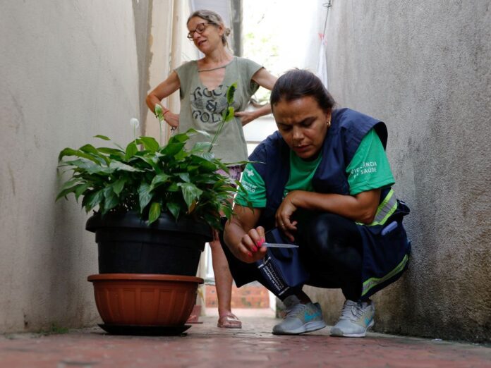 dengue campanha
