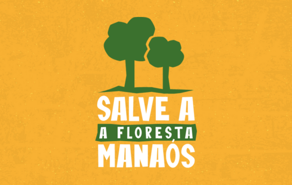 Contra o PL 582/21: ativistas lançam campanha pela preservação da APA Floresta Manaós