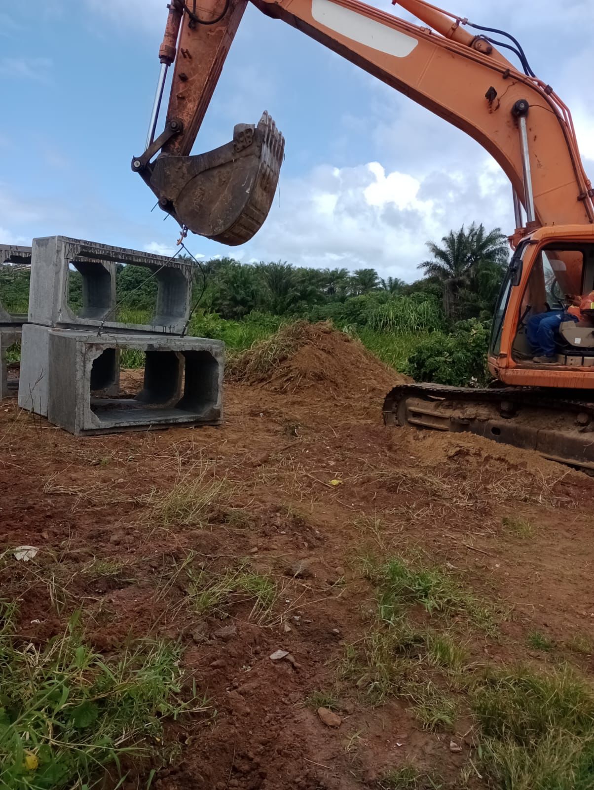 Ambientalistas denunciam obra que afeta o Parque do Abaeté