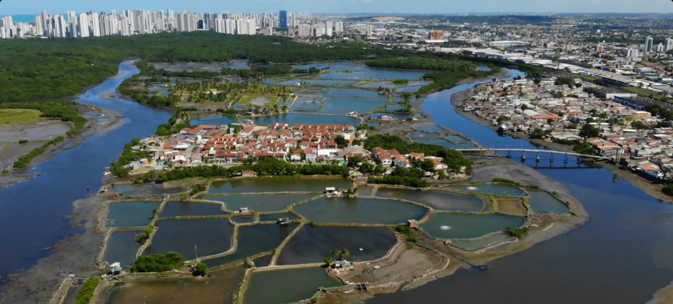 Leis ambientais no Recife, a quem serve?