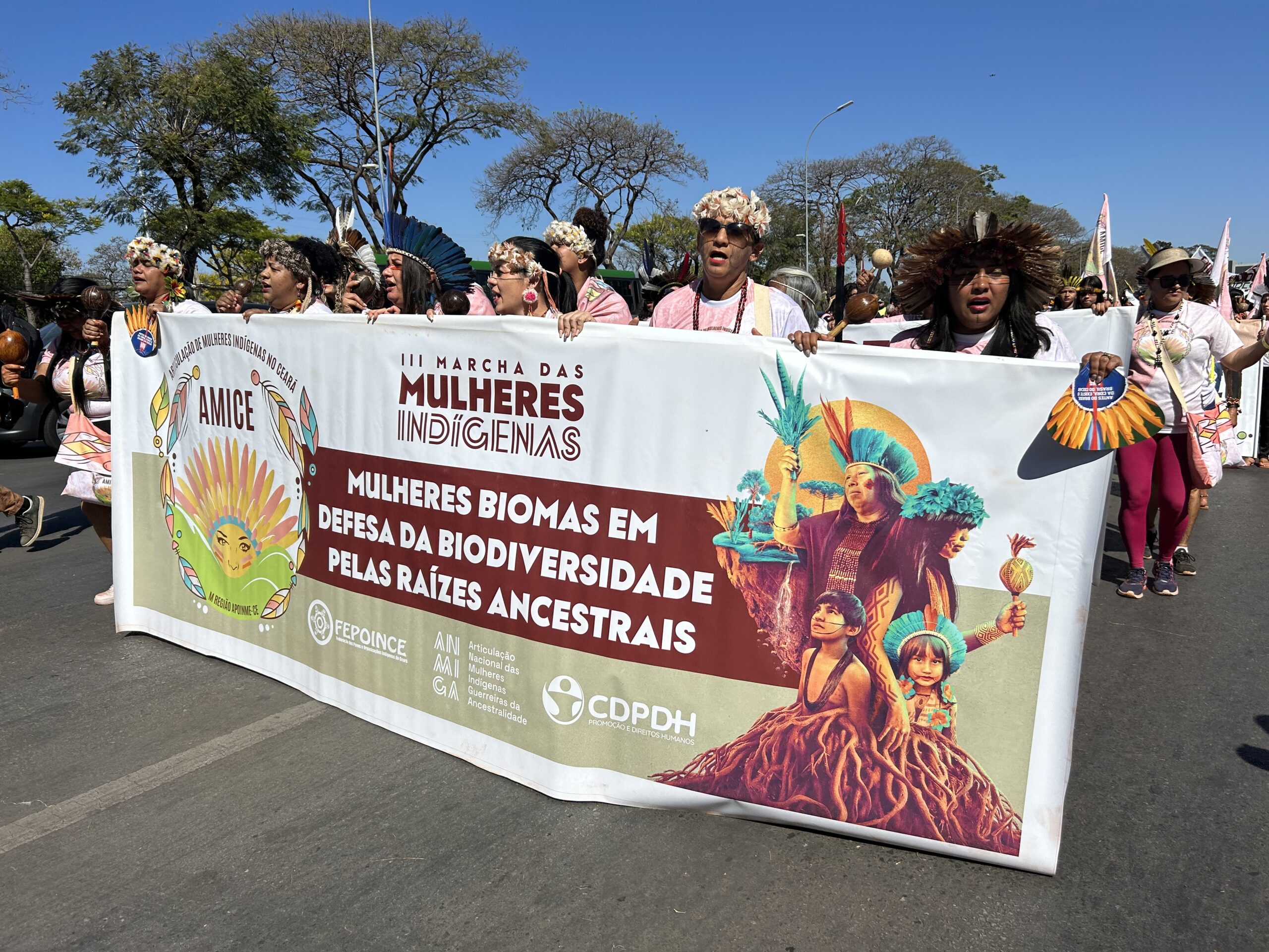 Mulheres Biomas em Defesa da Biodiversidade pelas Raízes Ancestrais