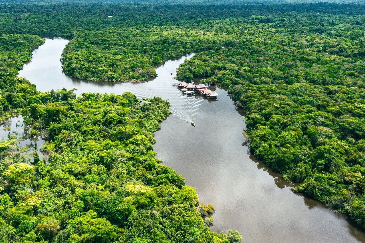 Relatório da ONU aponta ameaças à Amazônia