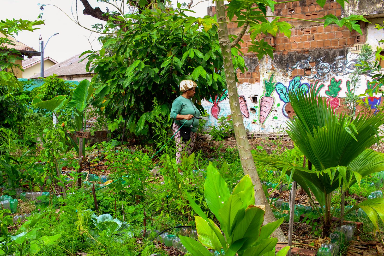 Centro Sabiá lança o Projeto Escola MARIAS – Mulheres e Agriculturas Urbanas